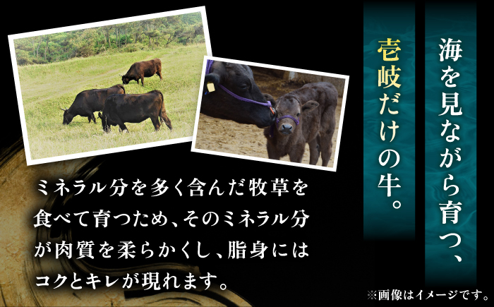 [1食分小分け!] 【黒毛和牛】 壱岐牛 切り落とし 500g（100g×5パック）《壱岐市》【土肥増商店】[JDD043] 国産牛 牛肉 肉 お肉 和牛 ギフト 贈答 ゴチになります 壱岐牛＼ぐるナ