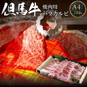 【ふるさと納税】A4ランク 但馬牛 焼肉用 バラカルビ 700g 2～3人前 経産牛 送料無料 黒毛和牛 和牛 霜降り 国産 カルビ バラ肉 焼肉 焼き肉 お肉 肉 BBQ バーベキュー 家族 ファミリー 御贈答 内祝い 御祝 出産祝 快気祝 お誕生日 冷凍 02-14