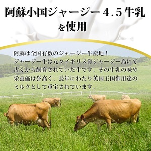 【阿蘇牧場】赤牛ハンバーグ 150g×10個 計1.5kg 1500g 熊本県産 褐毛和種 和牛100％ 阿蘇小国ジャージー4.5牛乳使用 大判 和牛ハンバーグ 小分け 個包装 焼くだけ簡単 冷凍 熊