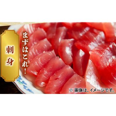 ふるさと納税 南九州市 鹿児島近海キハダマグロ1尾 |  | 02