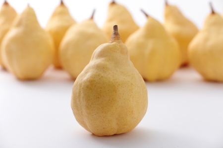 【2025年先行予約】【家庭用】西洋梨 ル・レクチェ 約2kg（5～7玉） 《11月下旬以降発送》 幻の西洋梨 果実 フルーツ 冬の味覚 加茂市 捧青果園 ルレクチェ 洋梨ルレクチェ