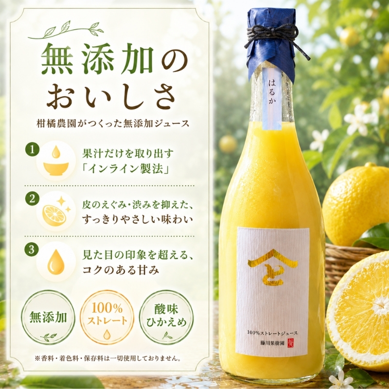 希少限定！無添加 はるか 100％ストレートジュース720ml（単品） 果汁飲料 みかんジュース 飲料類 