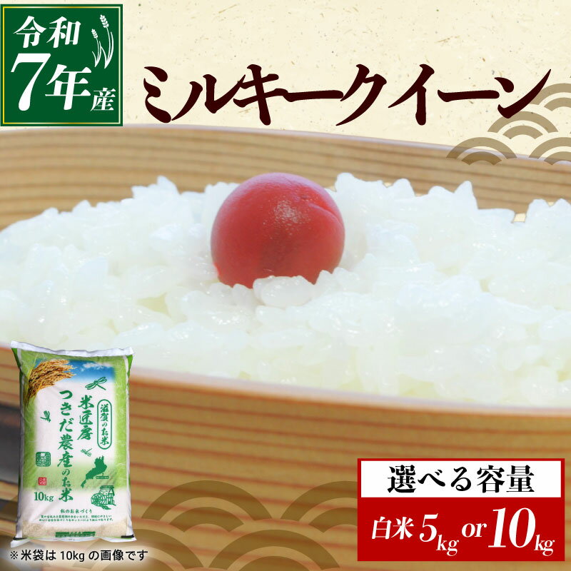 【ふるさと納税】 令和7年産 ミルキークイーン 白米 選べる 容量 5kg×1袋 10kg×1袋 米 コメ お米 新米 5キロ 10キロ 米5kg 米10kg ご飯 ごはん みるきーくいーん おにぎり お弁当 5kg 10kg 5 10 滋賀 彦根