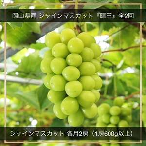 【発送月固定定期便】岡山県産 シャインマスカット『晴王』定期便全2回【配送不可地域：離島・北海道・沖縄県】【4007310】