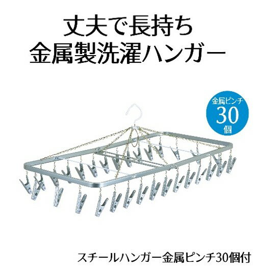 【ふるさと納税】 スチール ハンガー 金属 ピンチ 30個付 洗濯物 物干し 日本製 洗濯 家事 雑貨 日用品 家事用品 ランドリー 室内干し 部屋干し 洗濯バサミ スチール 角ハンガー 便利グッズ 衣類 乾燥 洗濯用品 藤枝市 静岡県