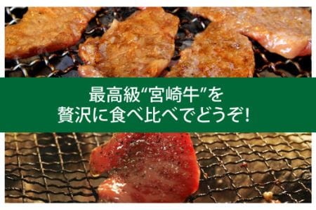 宮崎牛焼肉食べ比べ 計2.2kg（3か月定期便）（36-199）