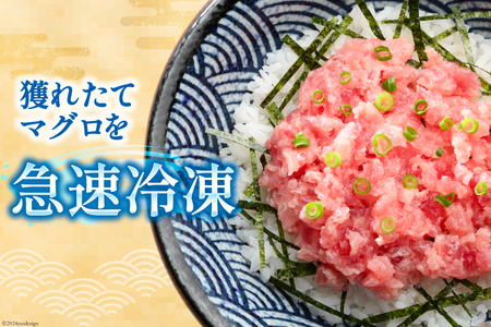 ねぎとろ 天然まぐろ 計1kg ねぎとろ  