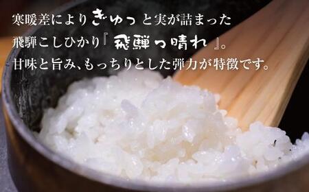 【数量限定】【定期便】こしひかり飛騨っ晴れ 白米 10kg 6回 お届け 生産者直送 お米 コシヒカリ 飛騨産 飛騨高山 アグリランド  JF102