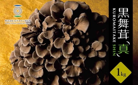 黒舞茸「真」 1kg きのこ マイタケ HNNAW001
