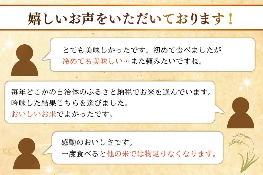 米 定期便 12回 令和8年産 特別栽培米 つや姫 5kg 12回 計60kg