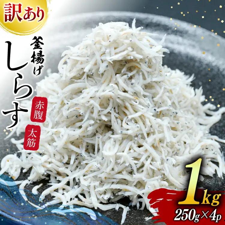 しらす 訳あり お船出 釜揚げしらす 250g 4p 計 1kg [お船出ちりめん村上屋 宮崎県 日向市 452061049]