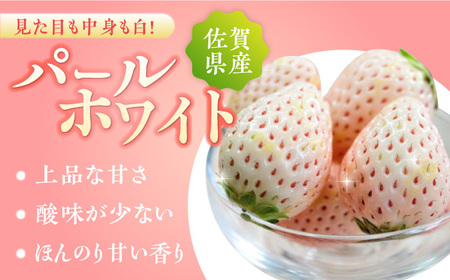 【先行予約】佐賀県産 パールホワイト 約220g×2パック / イチゴ 苺 フルーツ 果物 / 佐賀県 / かわさきいちご [41ASBJ003]