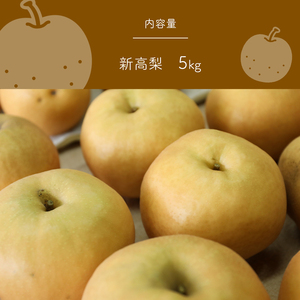 【2024年先行予約】真岡市産 新高 梨 5kg