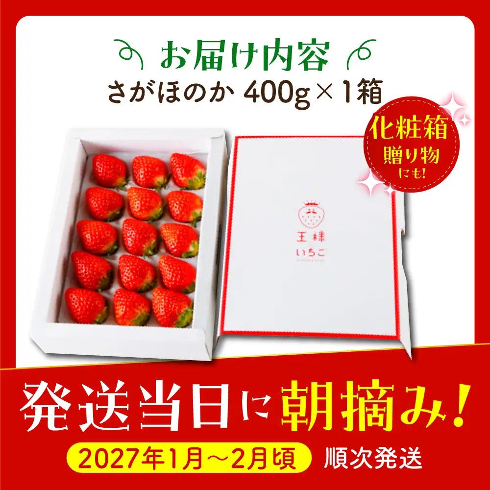 【先行予約】【1?2月発送】王様のいちご（さがほのか）400g HAF014] いちご 果物 フルーツ