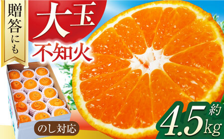【贈答】【大玉】不知火 約4.5kg（13-15個）ー3月中旬～4月中旬頃に発送ー 長与町/彩咲果樹園 [ECM001] しらぬい 不知火 デコポン でこぽん 柑橘 かんきつ みかん ミカン 蜜柑 大玉 贈答 果物 フルーツ 先行予約 長崎県 長与町