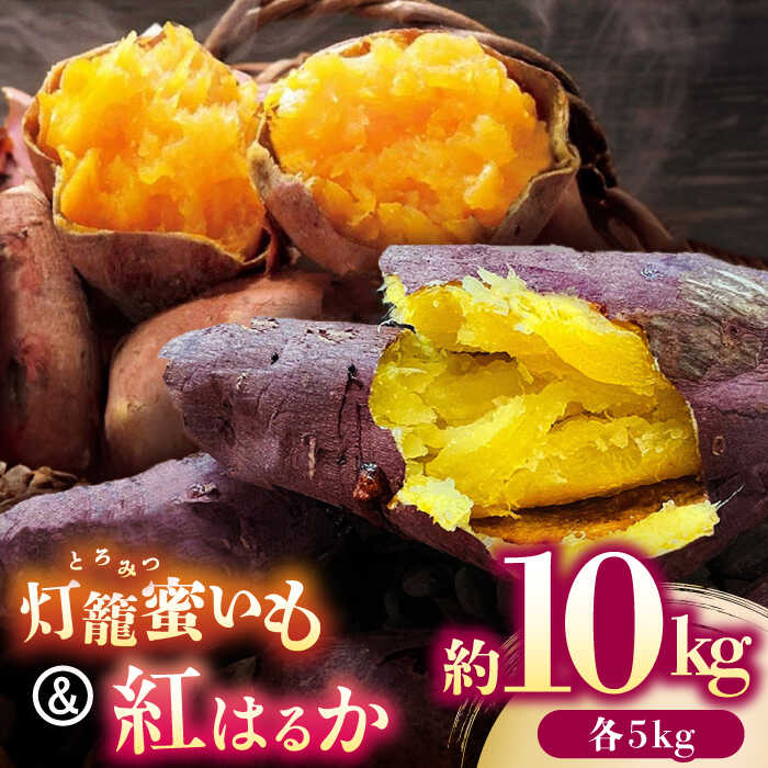 【ふるさと納税】さつまいも 食べ比べ セット「灯籠蜜いも とろみついも」と「 紅はるか 」計 約10kg (各5kg)【株式会社 アグリファーム未来】[ZDN003]