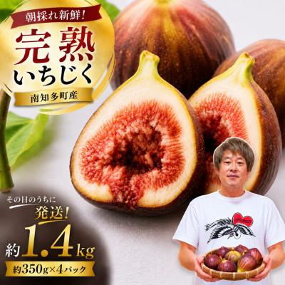 ふるさと納税 南知多町 【2026年産】愛知県南知多町産　訳あり いちじく 約350g×4パック 計約1.4kg