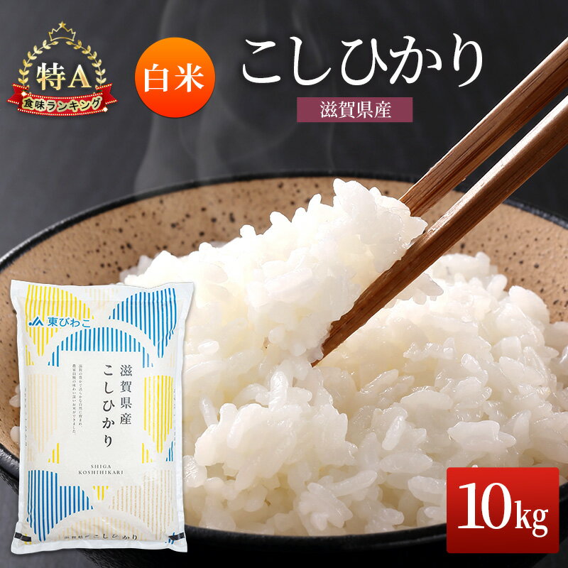 【ふるさと納税】コシヒカリ 白米 10kg　米 コメ お米 こめ 精米 こしひかり 滋賀県 豊郷町