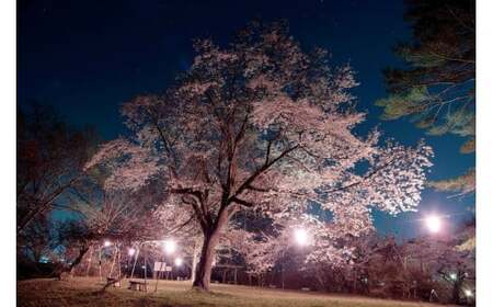 展勝地レストハウス お食事 利用券 9,000円分 (500円券 × 18枚) 岩手県 北上市 N0075 展勝地レストハウス 展勝地 食堂 食事券 クーポン チケット