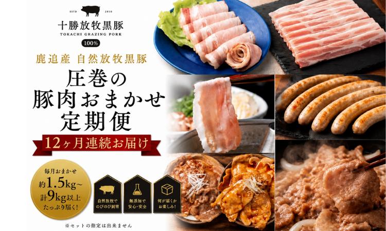 
                  鹿追産 自然放牧黒豚 圧巻の豚肉おまかせ定期便（12ヶ月分） 【 ふるさと納税 人気 おすすめ ランキング 黒豚 自然放牧黒豚 ウインナー ソーセージ ベーコン 豚肉 加工肉 定期便 十勝 北海道 鹿追町 送料無料 】 SKN013
                