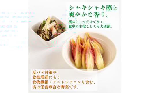 秀品 すさきのみょうが 1kg 生産量日本一 産地直送 かつおのたたき 薬味 高知県 高知 須崎 須崎市 すさき みょうが 茗荷 かつおたたき 藁焼き鰹  ぽん酢 玉ねぎ ねぎ しょうが 甘酢漬け 酢