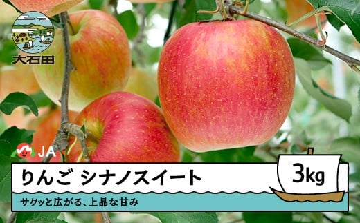 【先行予約】 りんご シナノスイート 3kg 2026年産 令和8年産 果物 フルーツ くだもの 大石田 山形県 ※沖縄・離島への配送不可 ja-rissx3