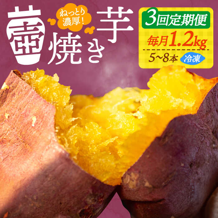 【ふるさと納税】【全3回定期便】さつまいも 芋 『てくてく』の壺焼き芋 1.2kg さつまいも 人気 お菓子 スイーツ 美味しい 和菓子 ギフト プレゼント 江田島市/峰商事 合同会社[XAD048] さつまいも 芋 サツマイモ やきいも スイーツ お菓子