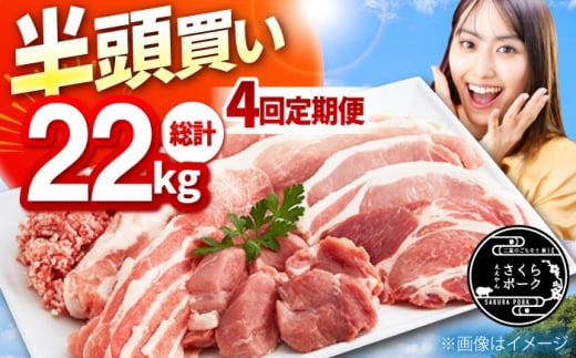 【切り方「おすすめB」】【4回定期便】ええやんさくらポーク 小林ファーム 豚肉 半頭買い（22kg） 亀山市/小林ファーム 豚肉 冷蔵 大容量 送料無料 [AMAB001-2]