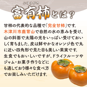 【先行予約】かせやまの柿 富有柿　Lサイズ 約3.5kg 京都 柿 鹿背山の柿 かき 015-01