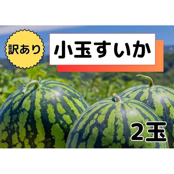 【ふるさと納税】すいか 訳あり 八色原すいか 小玉 2玉 | フルーツ 果物 くだもの 食品 人気 おすすめ 送料無料 わけあり