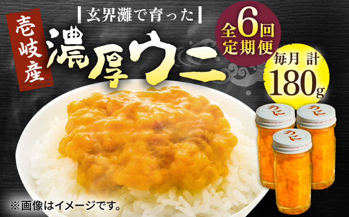 
                  【全6回定期便】壱岐産 濃厚 ウニ 60g ×3本《壱岐市》【合同会社塚元】ムラサキウニ 海産物 海鮮 うに 雲丹 珍味 [JDR039] 
                