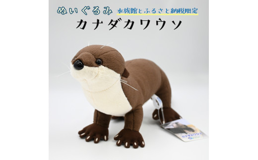 
ぬいぐるみ カワウソ アクアワールド 大洗 オリジナル グッズ 茨城 水族館 カナダカワウソ かわうそ 限定
