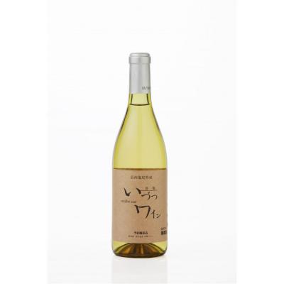 ふるさと納税 川崎市 井筒ワイン 酸化防止剤不使用 井筒 ナイヤガラ 白辛口 720ml × 2本