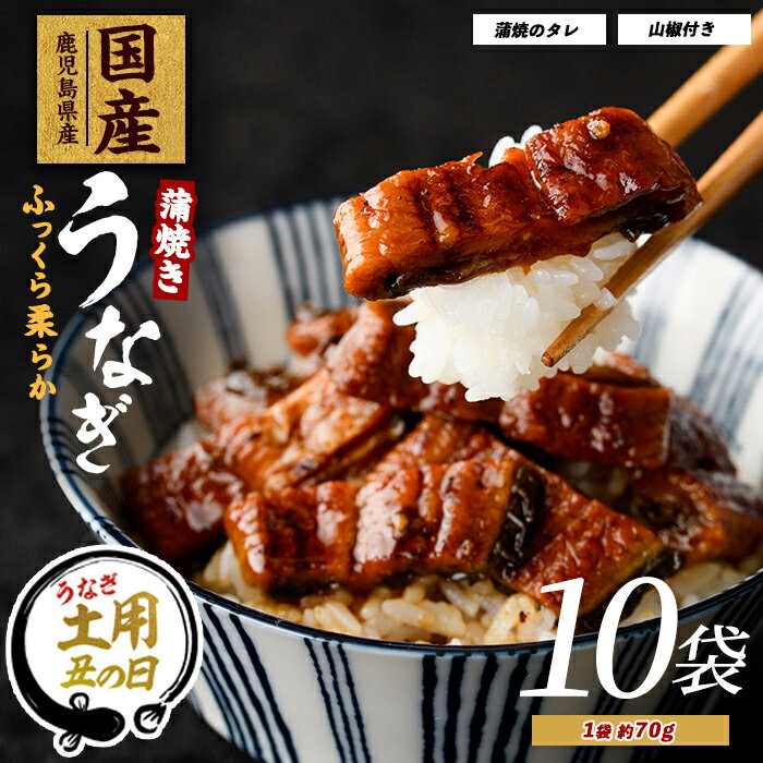 【ふるさと納税】【丑の日ギフト】7/9〜19までにお届け！(お申込みは7/13まで)【鹿児島県産】うなぎ蒲焼じっくり焼き きざみ約70g×10袋 化粧箱入り 鰻 ウナギ 蒲焼 国産 丑の日 うな丼 ギフト 贈り物 贈答 【大新】