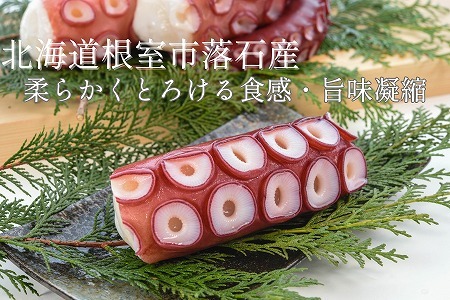 【北海道根室産】ボイル水たこ足ブロック2P(計900g) A-20009