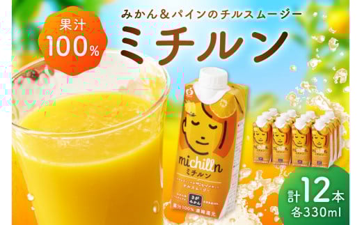 【佐賀県産温州みかん使用】 果汁 ミックスジュース ミチルン 330ml×12本 173-A043
