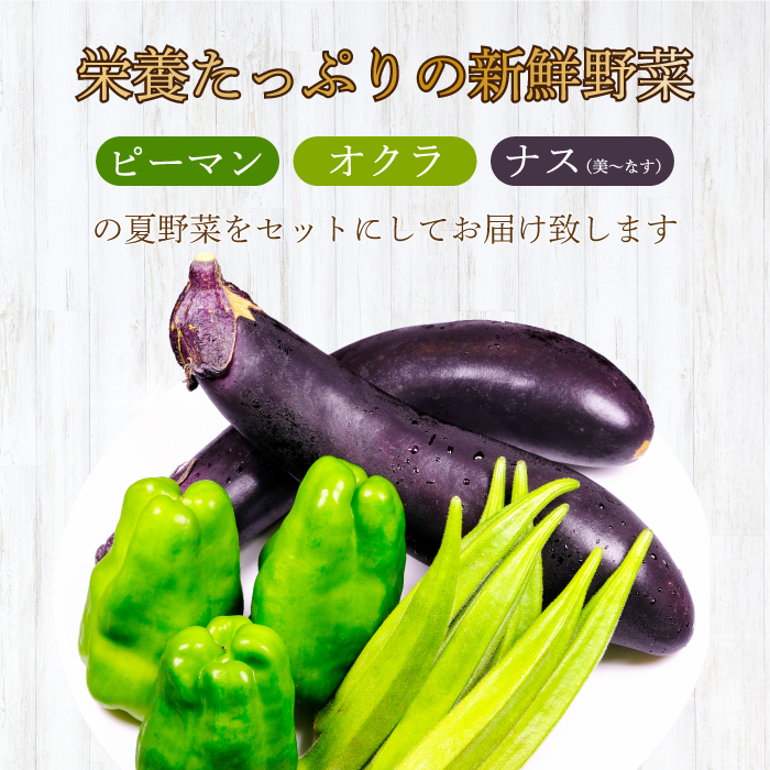 【先行受付】みのる農園 農家直送！夏野菜セット(ピーマン、ナス、オクラ)3.5kg やさい 詰合せ BBQ 2025年7月～10月上旬お届け 広島県三原市 206002