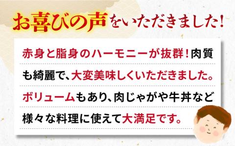 【お中元対象】《A4～A5ランク》壱岐牛 切り落とし 500g 《壱岐市》【壱岐市農業協同組合】[JBO016] 肉 牛肉 切落し すき焼き しゃぶしゃぶ 細切れ 赤身 のし プレゼント 11000円