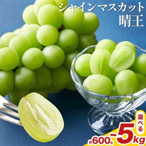 【先行予約】 岡山県産 シャインマスカット 晴王 選べる 計600g～5kg 株式会社はちや《7月上旬‐8月下旬頃出荷》岡山県 浅口市 ぶどう 葡萄 フルーツ ギフト 果物 デザート 国産 送料無料【配送不可地域あり