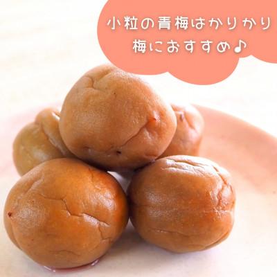 ふるさと納税 有田川町 南高梅 青梅 秀品 小粒ちゃん 5kg Sサイズ以下 和歌山県産 紀州有田 産地直送 クール便対応 |  | 03