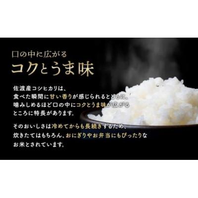 ふるさと納税 佐渡市 佐渡産コシヒカリ(精米)　5kg |  | 03