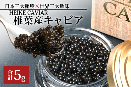 【桐箱入り】HEIKE CAVIAR 5ｇ 【宮崎県 椎葉村】 チョウザメ　キャビア 【世界三大珍味×日本三大秘境】