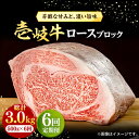 【ふるさと納税】【全6回定期便】 壱岐牛 ロースブロック 500g《壱岐市》【株式会社イチヤマ】[JFE037] 冷凍配送 黒毛和牛 A5ランク 定期便 赤身 肉 牛肉 ロース ブロック ステーキ 焼肉 焼き肉 ブロック肉 塊肉 BBQ 180000 180000円 焼肉用