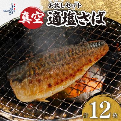ふるさと納税 銚子市 真空さばお試しセット　計12枚(適塩・昆布・純米酒　各4枚セット)
