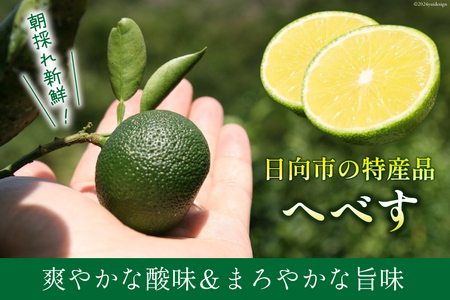 【期間限定発送】 へべす ひなたGAP認定 ふぞろい 2kg [へべすの悠美園 宮崎県 日向市 452060725]