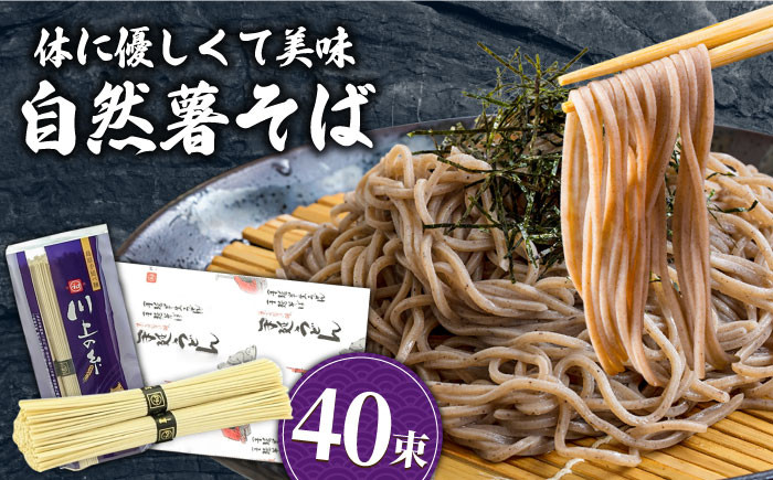 
                  【お中元対象】手延べ自然薯そば 2kg（250g×8袋）/ 南島原市 / 川上製麺 [SCM068]
                