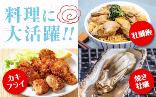 【3月31日(水) 着】加熱用生牡蠣 むき身500g＆殻付き20個 広島県江田島市／有限会社テツマル海産[XCO012-060]