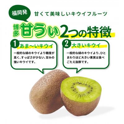 ふるさと納税 広川町 【2025年11月上旬発送】甘さ溢れるキウイフルーツ『博多甘うぃ』(大玉9玉)約1.4kg(広川町) |  | 01