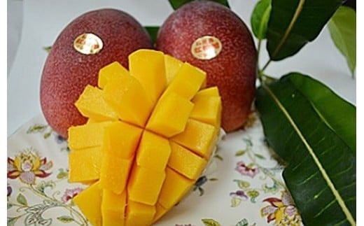 ＜先行予約＞石垣島産マンゴー(アーウィン種) 4～5玉 約2kg | マンゴー アップルマンゴー 沖縄県 IF-2