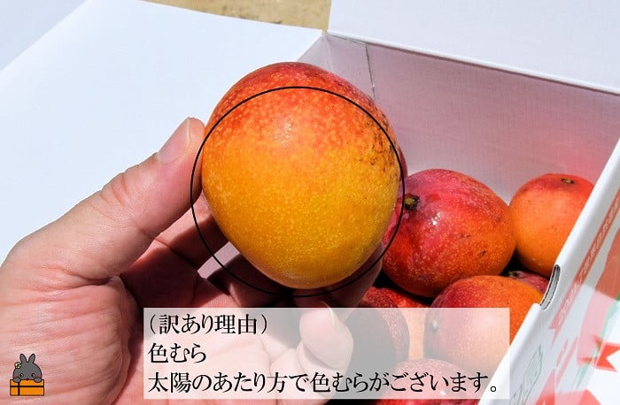 太陽のあたり具合によって、色むらもございます。